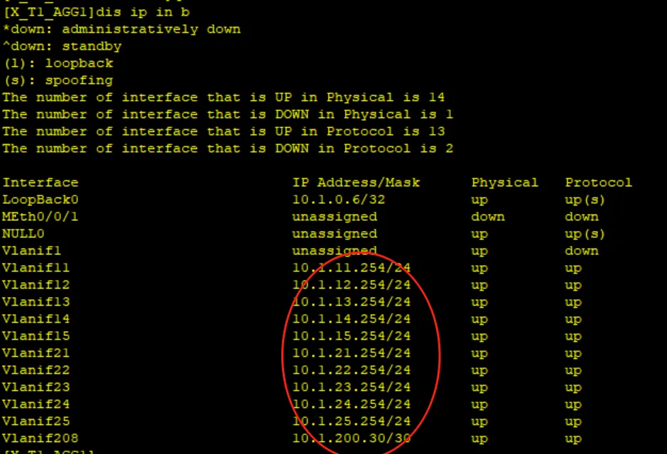 image-20250811170247422