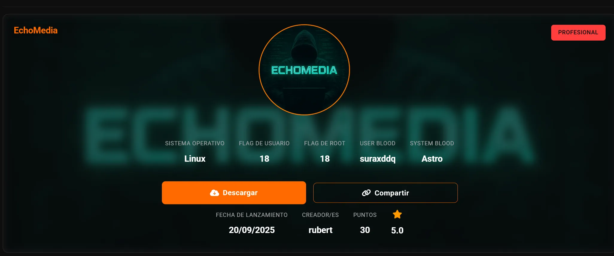 image-20251119211245734