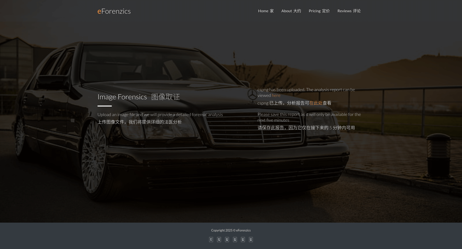 image-20250331185853481