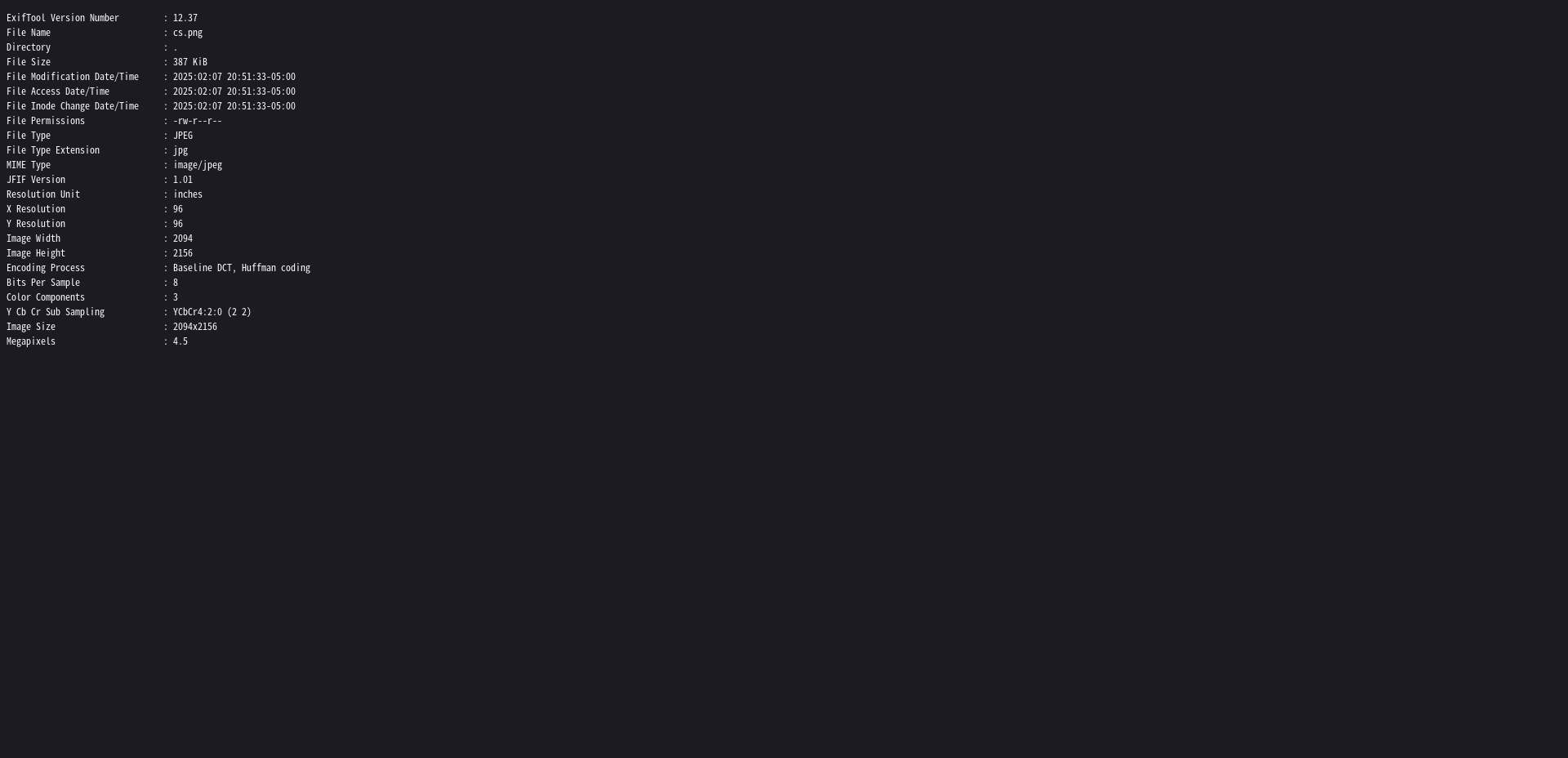 image-20250331185859700