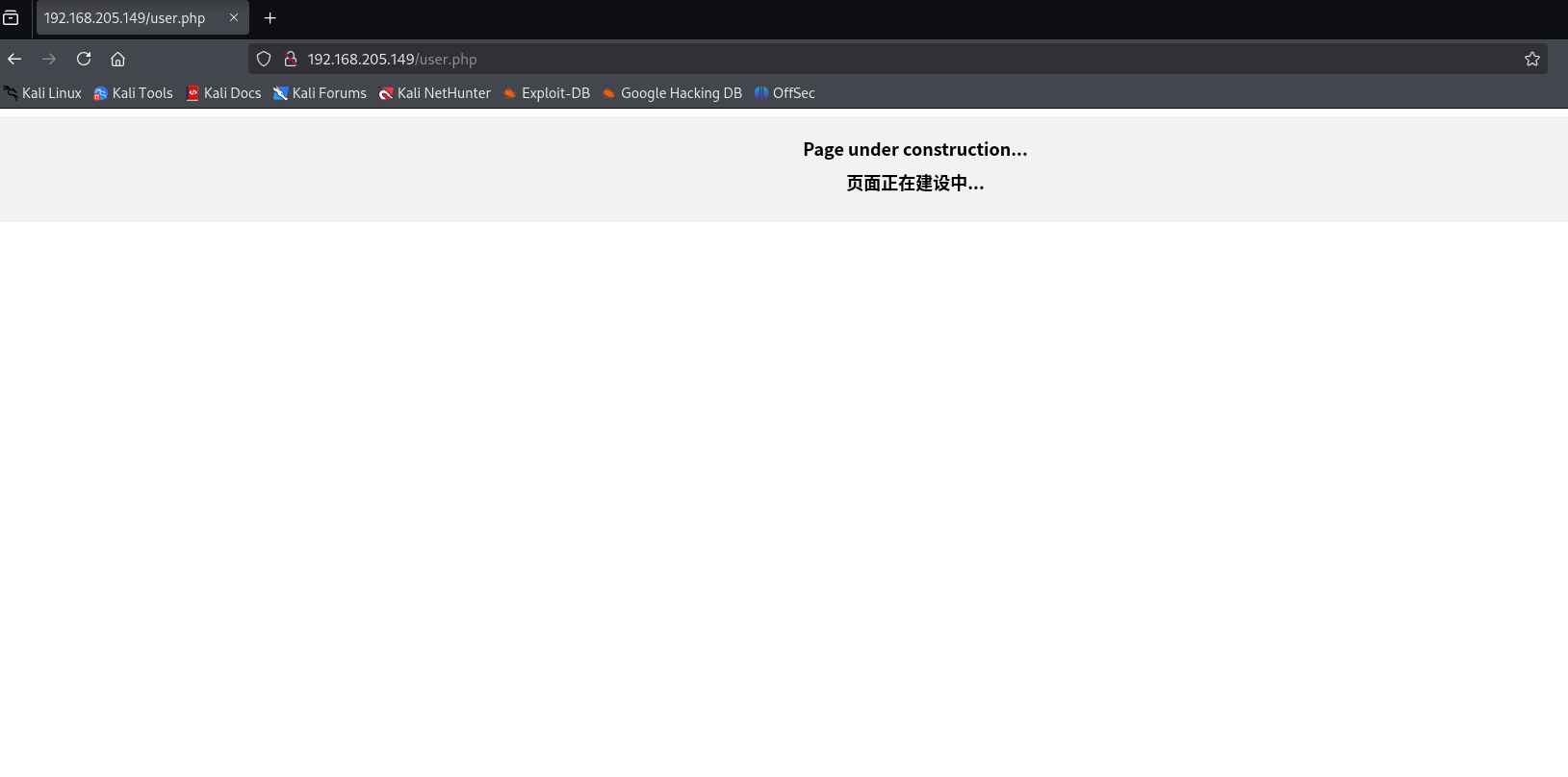 image-20250331190225481