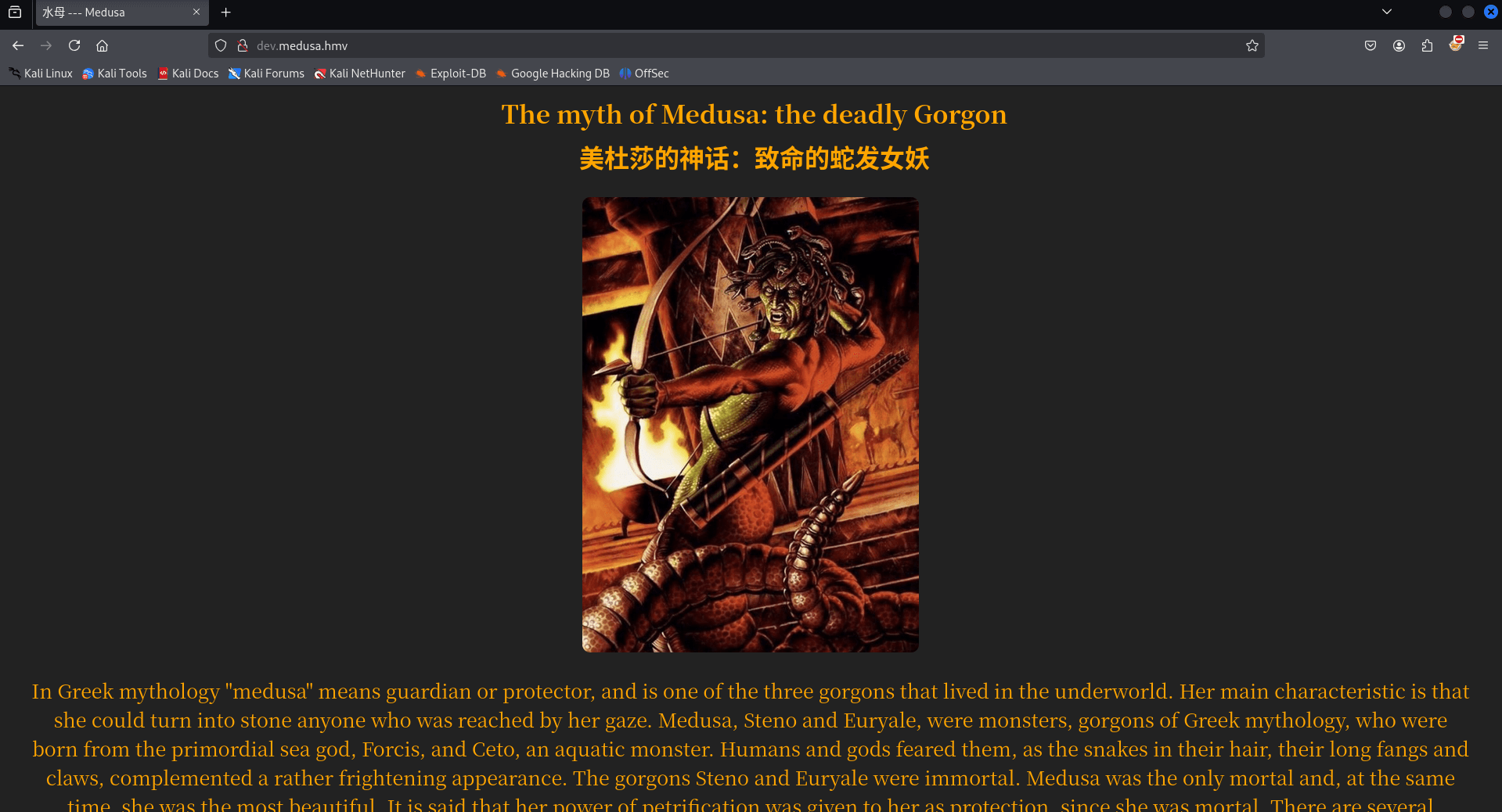 image-20250331190750401