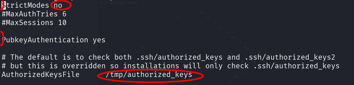 image-20250331191252272