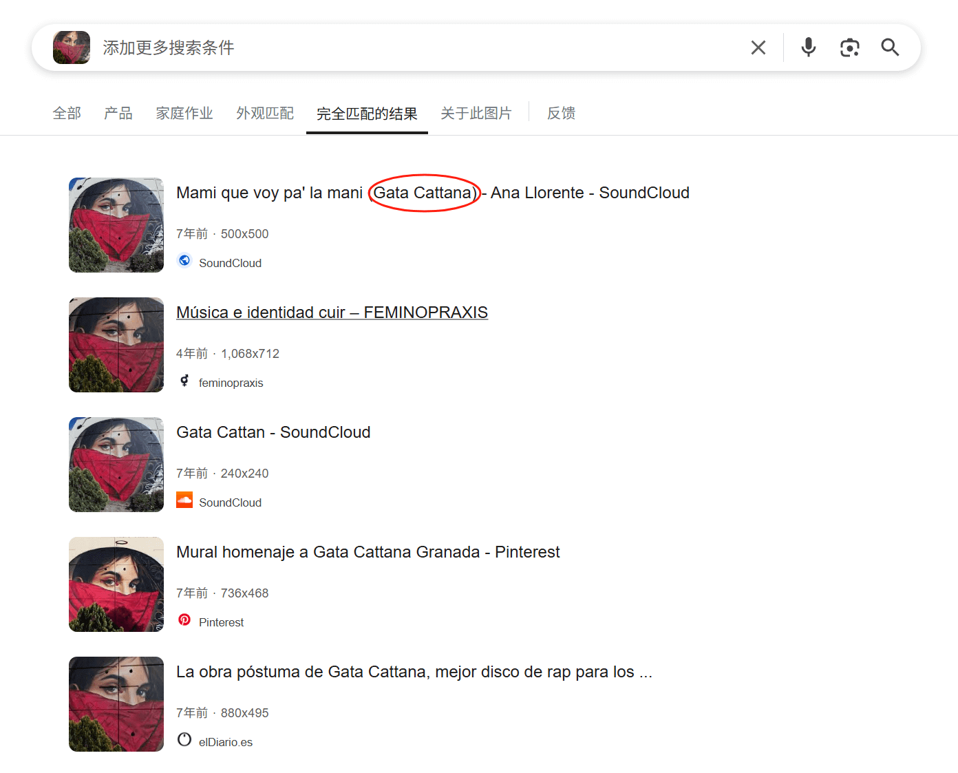 Google图片搜索结果