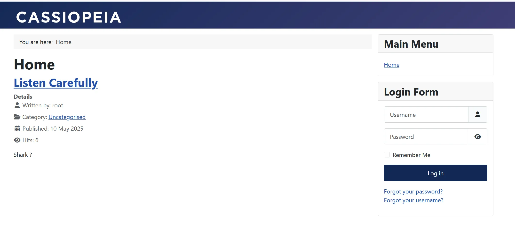 image-20250511212745043