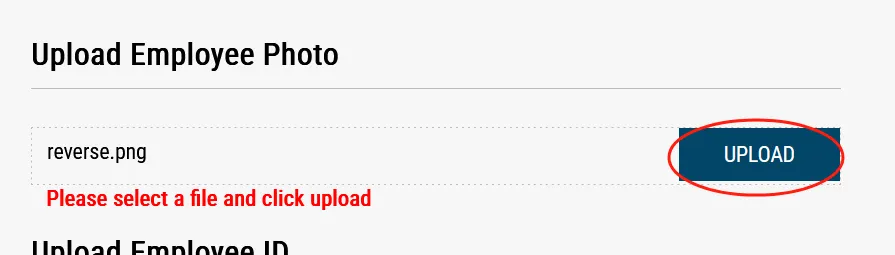 image-20250710221057739